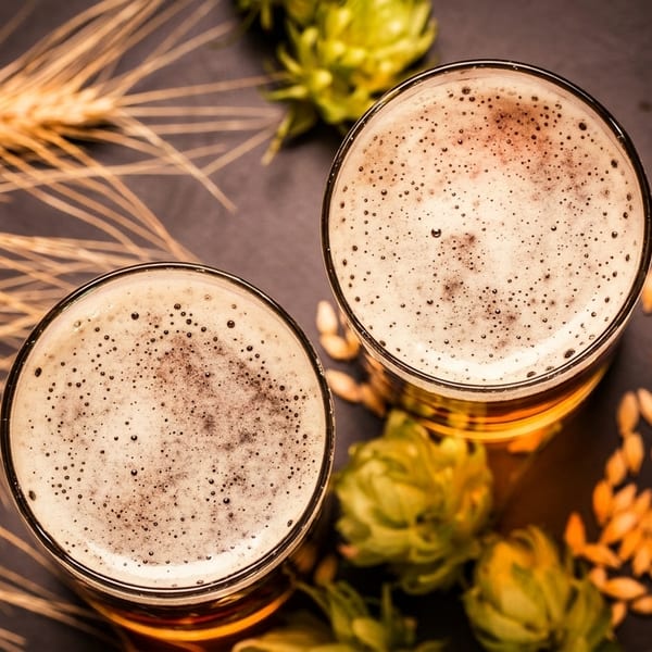 Two glasses of beer with frothy heads, surrounded by wheat stalks, hops, and barley grains.